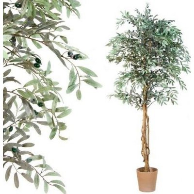 PLANTASIA 1369 Umělý strom - olivovník - 180 cm – Zboží Dáma