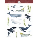 ePipí Arch samolepek Velryby A6 – Hledejceny.cz