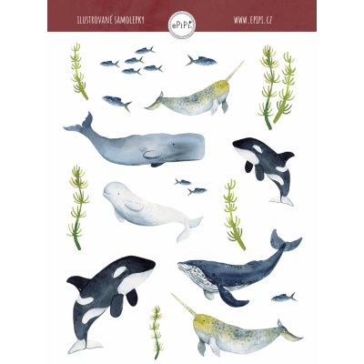 ePipí Arch samolepek Velryby A6 – Hledejceny.cz