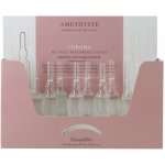 FarmaVita Amethyste Chroma hedvábná regenerační péče pro barvené vlasy 10x10 ml – Hledejceny.cz