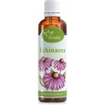 Serafin Echinacea tinktura z bylin 50 ml – Zboží Mobilmania