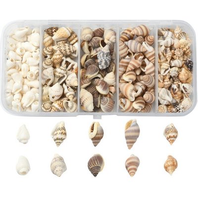 Přírodní mořské mini mušle bez dírky - sada v krabičce 50g - cca 6 ~ 18 mm - 1 balení – Sleviste.cz