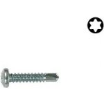 Šroub samovrtný DIN 7504N ocel 5,5x25 ZB Torx – Hledejceny.cz