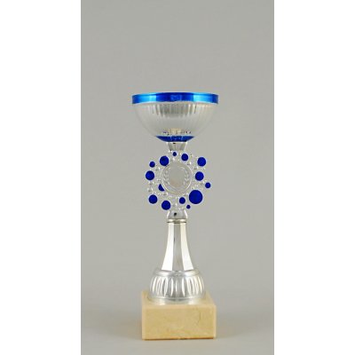 Stříbrnomodrý sportovní pohár 22 27,5 cm 22 cm – Zboží Dáma