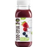 UGO Malina jahoda borůvka jablko 250 ml – Sleviste.cz