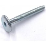 Šroub nábytkářský typ BB 17 M6x100 ZB s plochou hlavou / balení 100 ks – Hledejceny.cz