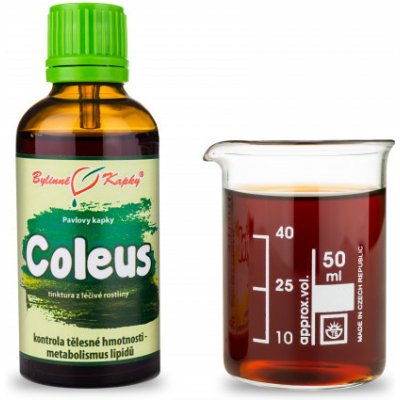 Bylinné kapky Pavlovy bylinné kapky Coleus tinktura 50 ml – Hledejceny.cz