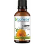 Bioherba Aksamietnica kapky tinktura 50 ml – Hledejceny.cz