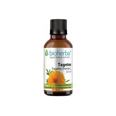 Bioherba Aksamietnica kapky tinktura 50 ml – Hledejceny.cz
