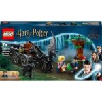 LEGO® Harry Potter™ 76400 Bradavice: Kočár a testrálové – Zbozi.Blesk.cz