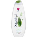 Dermomed Aloe sprchový gel / koupelová pěna 650 ml – Hledejceny.cz