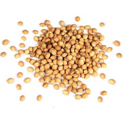 Třešňové pecky sypané Hmotnost: 1kg – Zboží Dáma