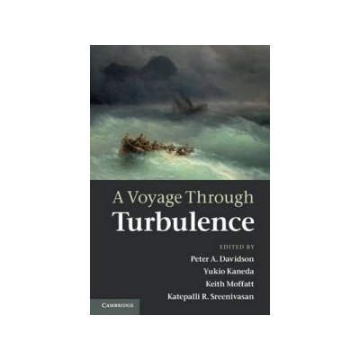 A Voyage Through Turbulence Peter A. Davidson – Hledejceny.cz