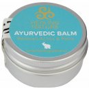 Healing Nature Ájurvédský balzám 80 ml