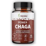 Blendea Chaga extrakt 60 kapslí – Hledejceny.cz