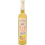 Hollinger Sirup zázvorový 0,5 l – Sleviste.cz