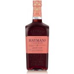 Hayman's Sloe Gin 26% 0,7 l (holá láhev) – Zboží Dáma