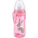 NUK FC LÁHEV PP ACTIVE CUP SI PÍTKO holka 300 ML – Zboží Dáma NUK FC LÁHEV PP ACTIVE CUP SI PÍTKO holka 300 ML – Zboží Dáma
