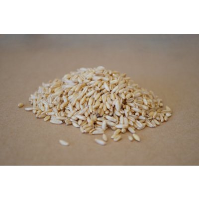 Les fruits du Paradis Oves bezpluchý 0,5 kg – Zboží Dáma