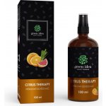 Green idea RELAX THERAPY přírodní osvěžovač vzduchu 100 ml – Hledejceny.cz