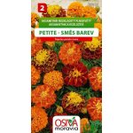 Semínka Aksamitník rozkladitý plnokvětý Petite směs barev (Tagetes patula nana) – HobbyKompas.cz Semínka Aksamitník rozkladitý plnokvětý Petite směs barev (Tagetes patula nana) – HobbyKompas.cz