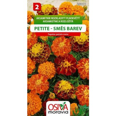 Semínka Aksamitník rozkladitý plnokvětý Petite směs barev (Tagetes patula nana) – HobbyKompas.cz Semínka Aksamitník rozkladitý plnokvětý Petite směs barev (Tagetes patula nana) – HobbyKompas.cz