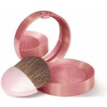 Bourjois Little Round Pot Blush 015 Radiant Rose 2,5 g – Sleviste.cz