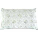 B.E.S. Petrovice Visco polštář luxury Aloe Vera taška 45x75 – Sleviste.cz