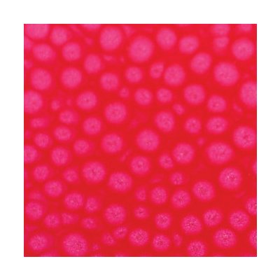 Pebeo Efektová barva Fantasy Prisme 45 ml Fluorescent Pink – Zboží Dáma