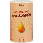 FitStream Premium Pure Collagen 350g – Zboží Dáma