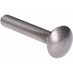 nerezový šroub vratová (M6x50mm), DIN603F /AISI304 – Hledejceny.cz