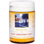 TCM Herbs Slast uprstřed noci 100 tablet – Hledejceny.cz