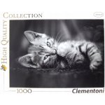 Clementoni Koťátko 39422 1000 dílků – Hledejceny.cz