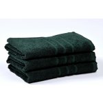 Profod Ručník Sofie tmavě zelená 50 x 100 cm – Hledejceny.cz