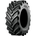Alliance AGRISTAR 365 600/65-30 149D TL – Hledejceny.cz