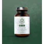 Herbalus VKLIDESU 60 kapslí – Hledejceny.cz