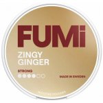 Fumi Zingy Ginger 8 mg/sáček Slim 20 sáčků – Hledejceny.cz