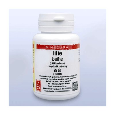 Sinecura Lilie baihe instantní prášek 20 g – Hledejceny.cz