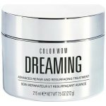 Color Wow Dreaming Treatment Regenerační maska na poškozené vlasy 215 ml – Zboží Mobilmania