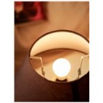Philips Classic LED žárovka 100W A60 CW FR ND 1CT/10 – Hledejceny.cz
