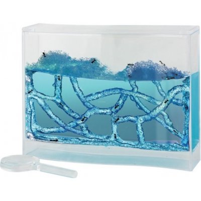 040801/7698 Mravenčí farma antquarium – Sleviste.cz