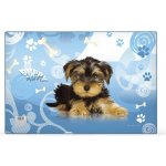 Karton P+P podložka na stůl Junior mix motivů 60 x 40 cm – Zboží Dáma