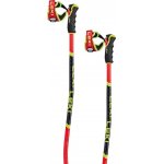 Leki WCR GS 3D 2024/25 – Zboží Dáma