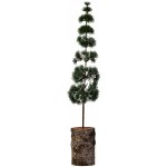 House Doctor Umělý stromek Pine Green 80 cm, zelená barva, plast – Hledejceny.cz