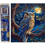 Norimpex Diamantový obrázek malování 30 x 40 cm Sova na stromě v noci – Hledejceny.cz