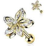 Šperky4U cartilage piercing do ucha CP1086-GD – Sleviste.cz