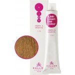 Kallos KJMN s keratinem a arganovým olejem 9.31 Very Light Golden Ash Blond Cream Hair Colour 1:1.5 100 ml – Sleviste.cz