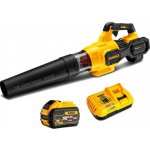 Dewalt DCMBA572X1 Flex VOLT – Zboží Dáma