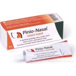 Rosen Pinio-Nasal nosní mast 10 g – Zboží Mobilmania