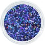 Aglia Extreme Purple Hologram glitter 2 g – Zboží Mobilmania